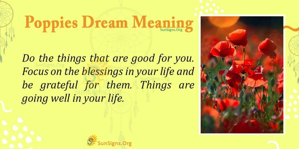 dream-about-poppy-meaning-interpretation-and-symbolism-sunsigns-org