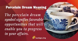 Porcelain Dream Meaning