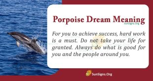 Porpoise Dream Meaning