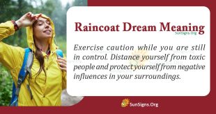 Raincoat Dream Meaning