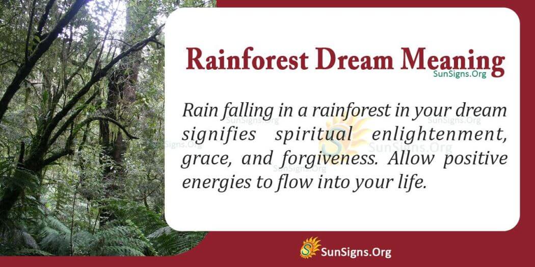 Dreaming of a Rainforest and Its Meaning, Interpretation and Symbolism ...