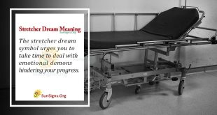 Stretcher Dream Meaning