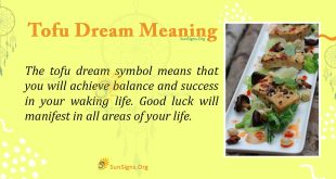 Tofu Dream Meaning