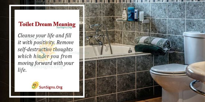 Understanding The Meaning Of Toilet Dream Interpretation And 