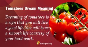 Tomatoes Dream Meaning