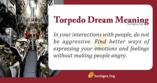 Torpedo Dream Meaning