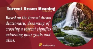 Torrent Dream Meaning