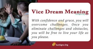 Vice Dream Meaning