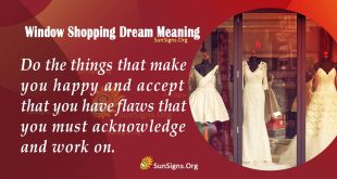 Window Shopping Dream Meaning