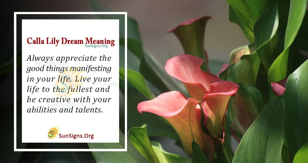 Seeing a Calla Lily in Your Dream Meaning, Interpretation and