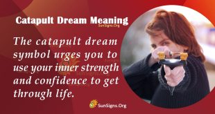 Catapult Dream Meaning