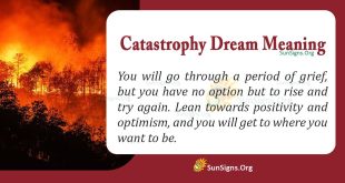 Catastrophe Dream Meaning