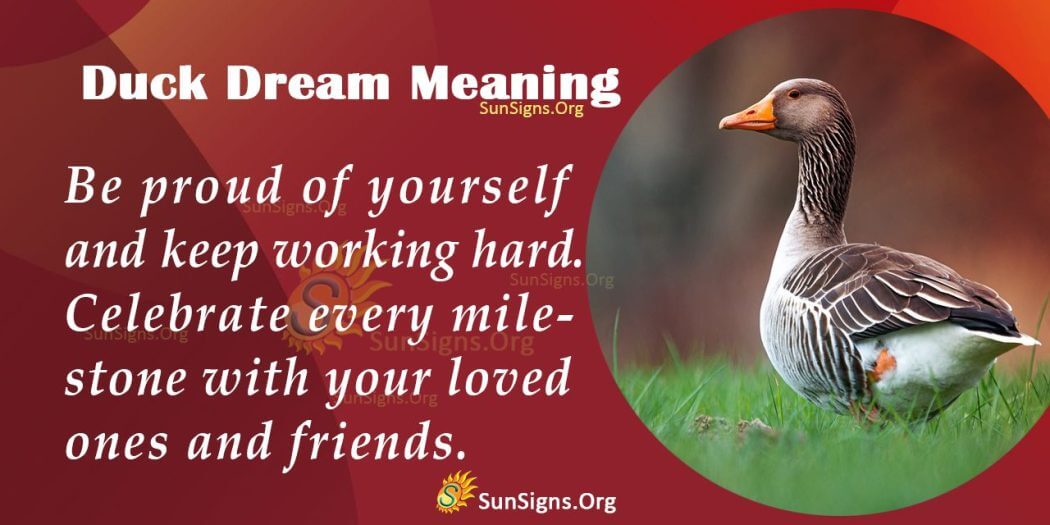 seeing-a-duck-in-your-dream-meaning-interpretation-and-symbolism