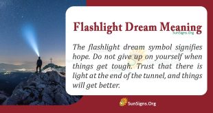 Flashlight Dream Meaning