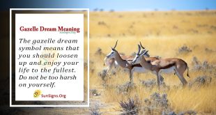 Gazelle Dream Meaning