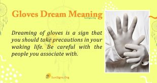 Gloves Dream Meaning