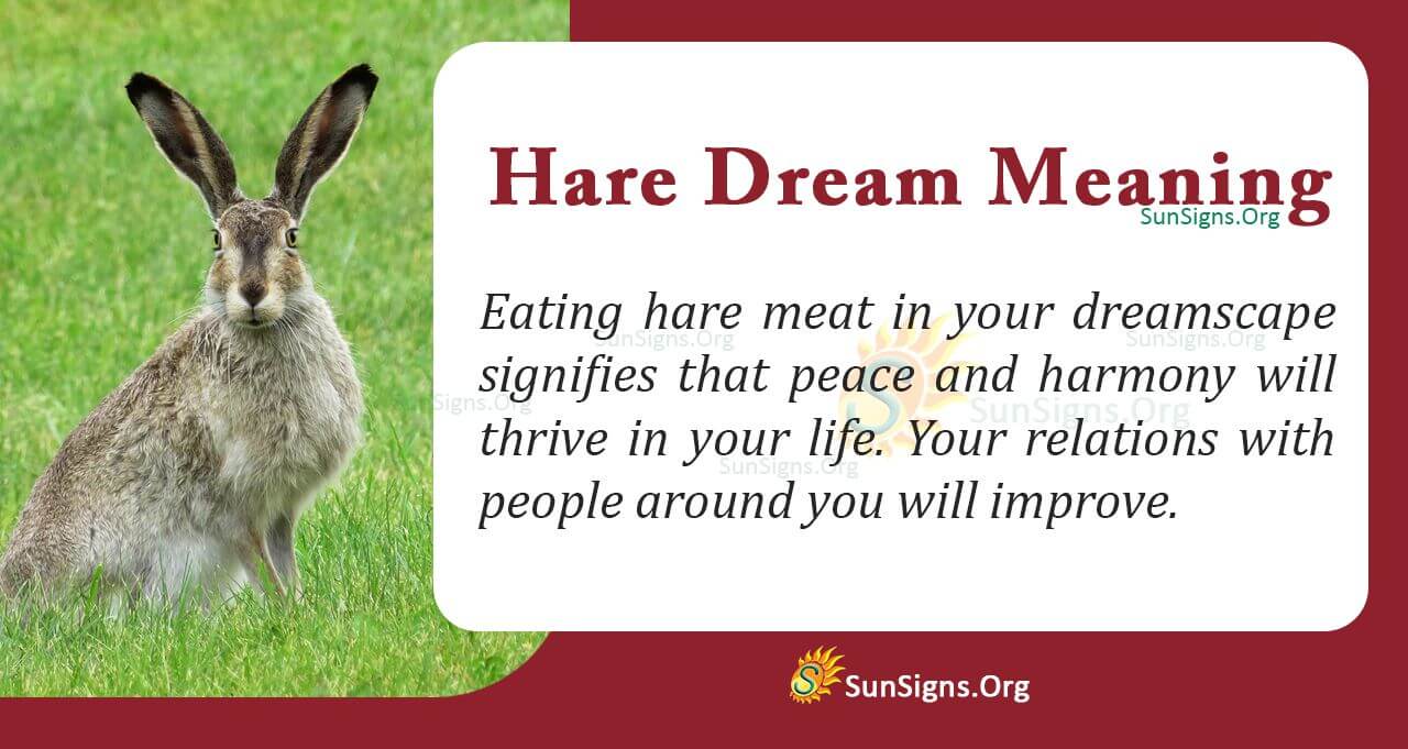 hare-in-your-dream-and-its-meaning-interpretation-and-symbolism