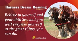 Harness Dream Meaning