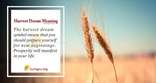 Harvest Dream Meaning