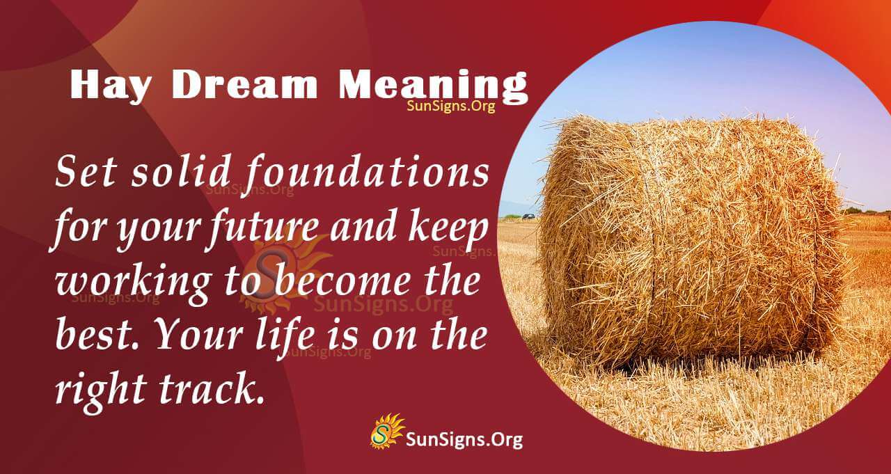 the-hidden-meaning-behind-hay-dreams-interpretation-and-symbolism