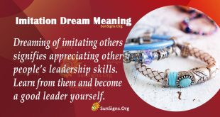 Imitation Dream Meaning