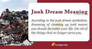 Junk Dream Meaning