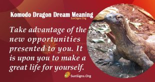 Komodo Dragon Dream Meaning