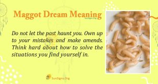 Maggot Dream Meaning