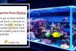 Aquarium Dream Meaning