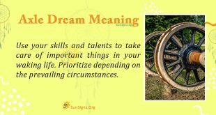 Axle Dream Meaning