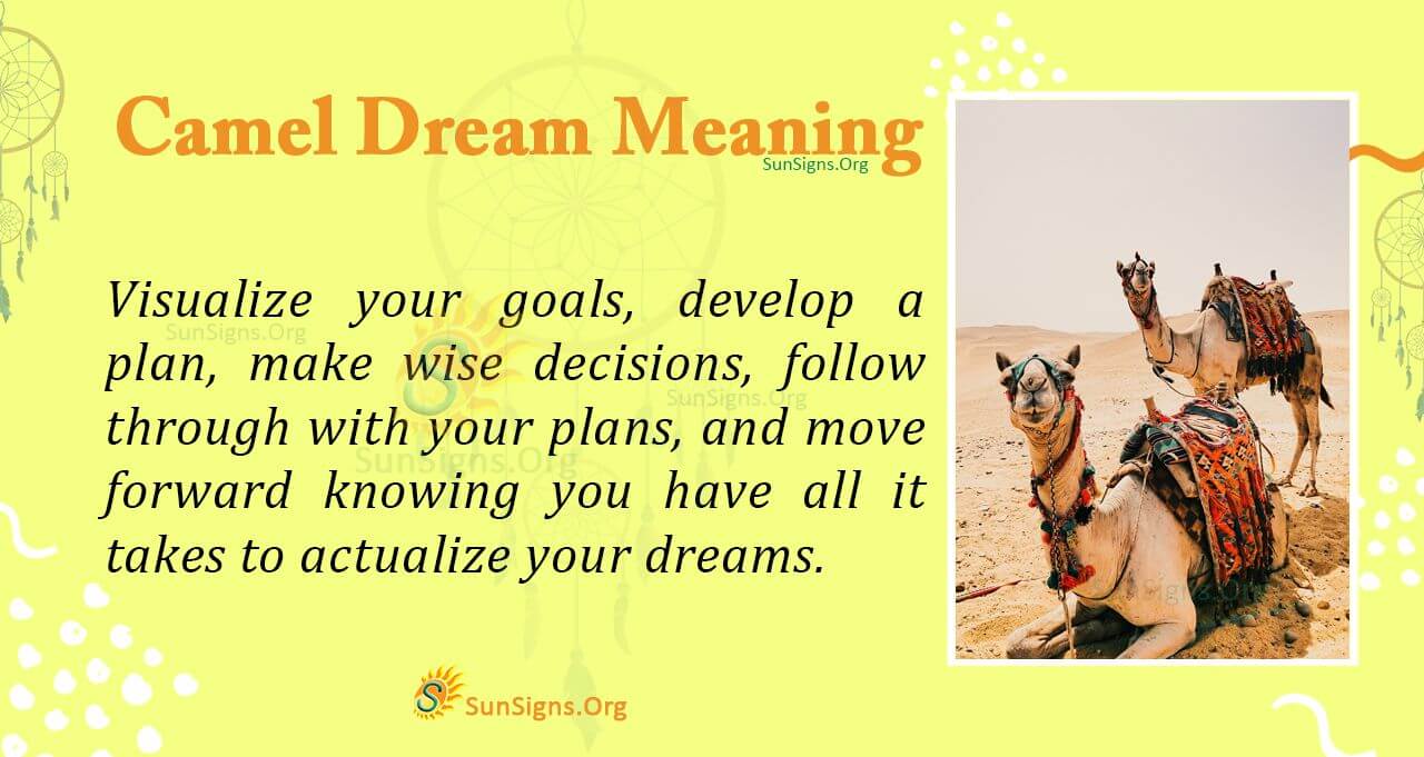 Camel In Your Dream - Meaning, Interpretation And Symbolism - SunSigns.Org