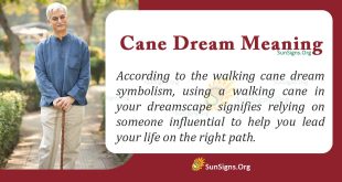 Cane Dream Meaning