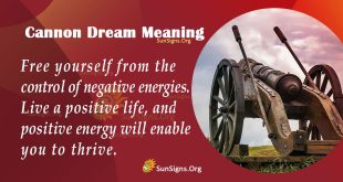 Cannon Dream Meaning