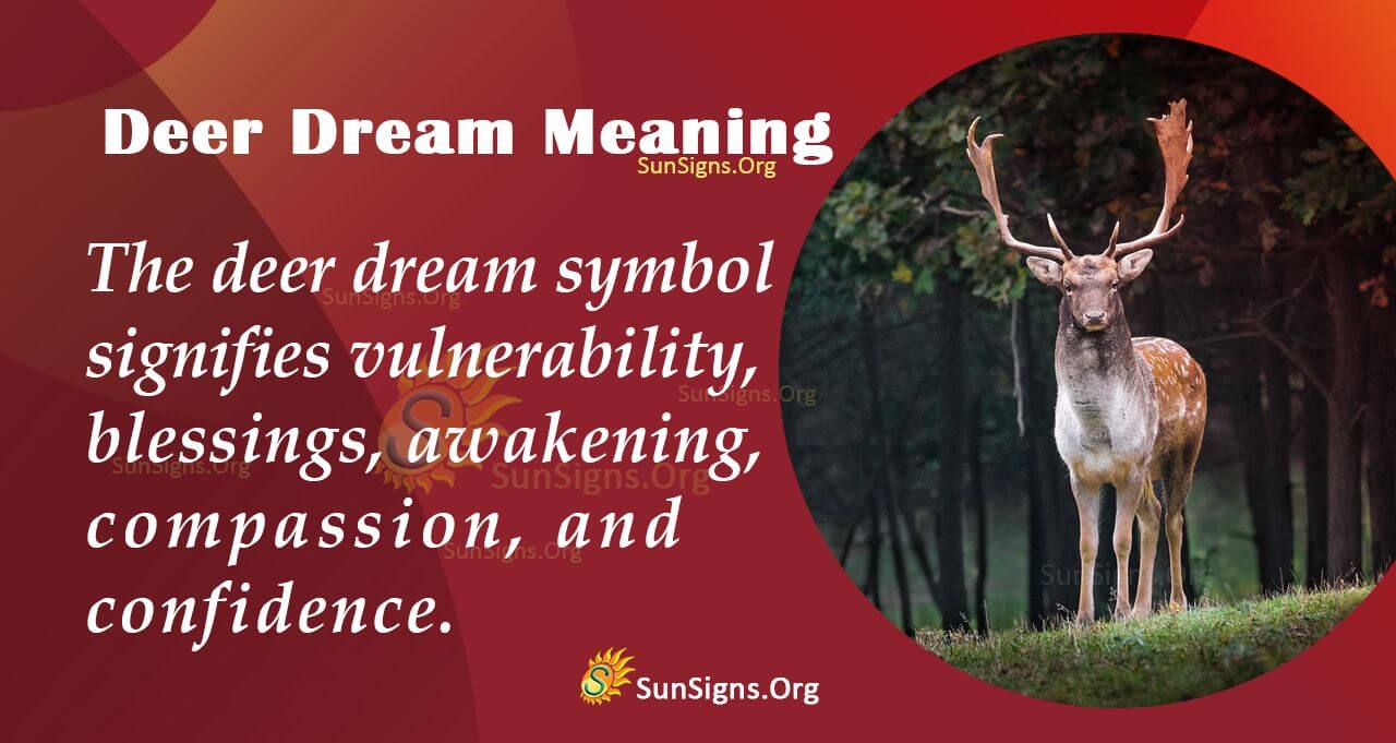 Meaning Of A Deer Dream - Interpretation and Symbolism - SunSigns.Org