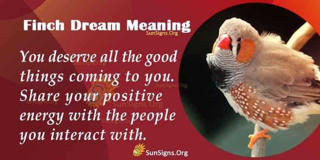 Finch Dream Meaning