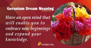 Geranium Dream Meaning