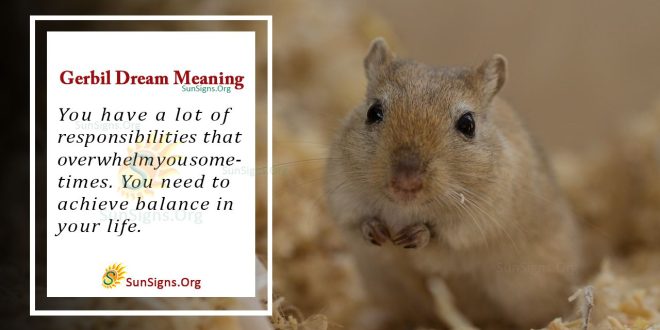 Gerbil Dream Meaning