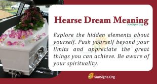 Hearse Dream Meaning