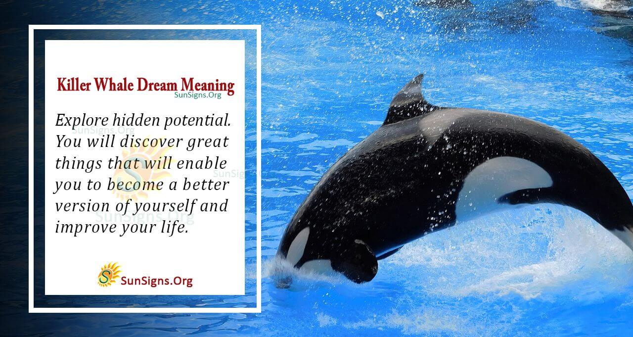 Killer Whale Dream Symbol - Meaning, Interpretation and Symbolism