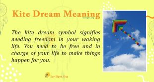 Kite Dream Meaning