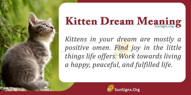 Kitten Dream Meaning