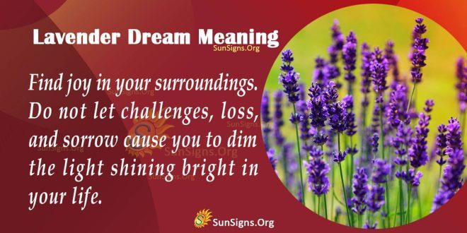 Lavender Dream Meaning