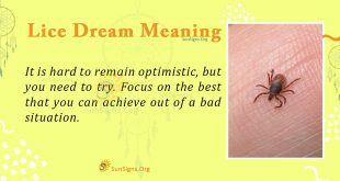 Lice Dream Meaning