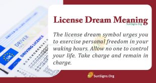 License Dream Meaning