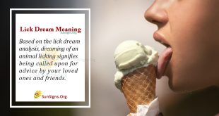 Lick Dream Meaning