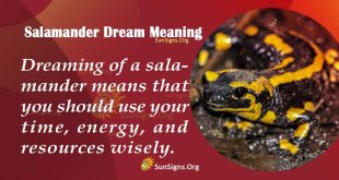 Salamander Dream Meaning