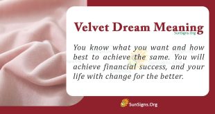 Velvet Dream Meaning