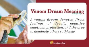 Venom Dream Meaning