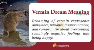 Vermin Dream Meaning