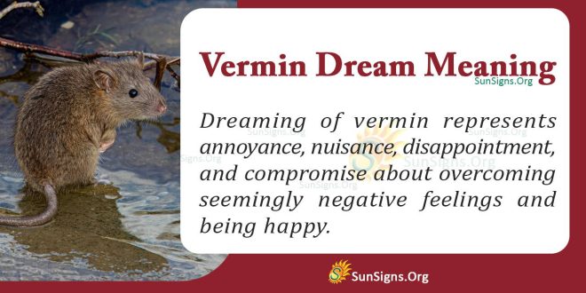 Vermin Dream Meaning